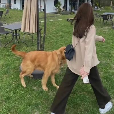 生死锐变